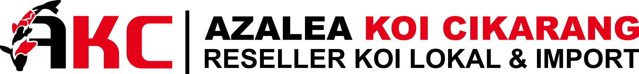 Jasaindo